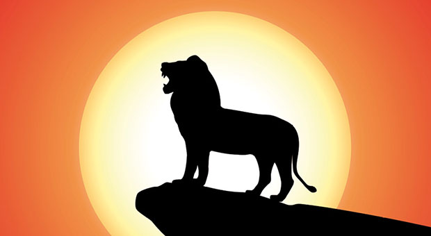 Immagini Da Colorare Il Re Leone