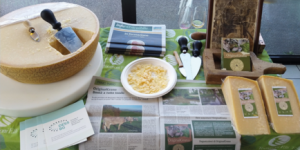 Degustazione Grana padano "OriginalBruna" del "progetto Originalgrana"
