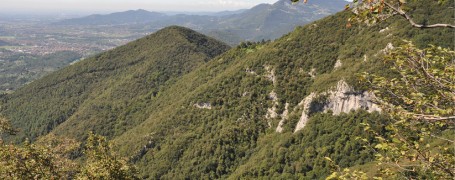 Territorio del Gal delle colline bergamasche