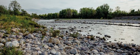 Nasce la rete Comunità Mosaico Insieme per i cambiamenti climatici