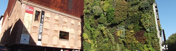 Le città cambiano e i giardini diventano verticali