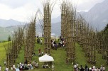 cattedrale vegetale
