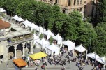 Il Festival dell’Ambiente  torna in città