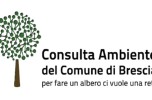 Logo Consulta Ambiente del Comune di Brescia 