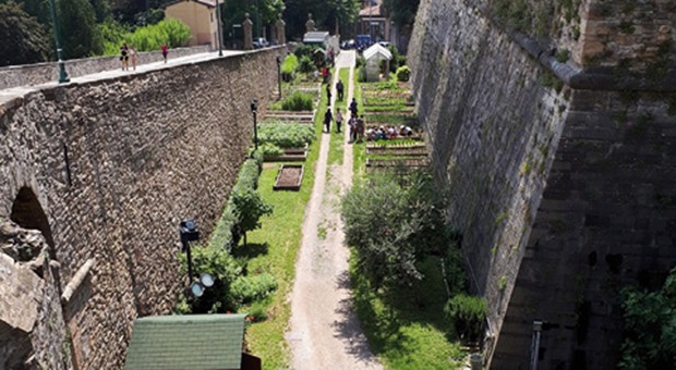 Lorto di Città Alta 