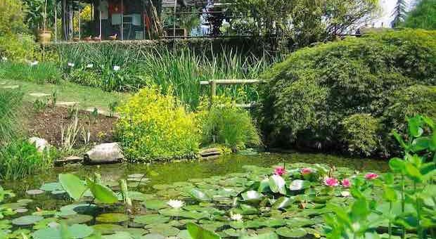 orto botanico Bergamo