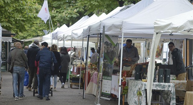 Festival bagnato… Festival fortunato?