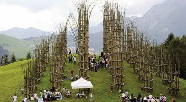 cattedrale vegetale