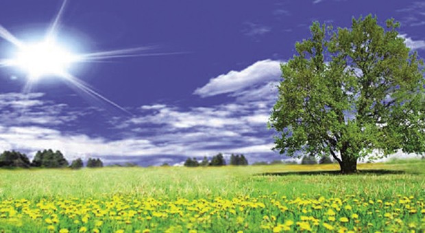 S.E. Servizi Ecologici Srl: salvaguardia ambientale   S.E. Servizi Ecologici Srl: salvaguardia ambientale