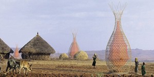 L’albero che produce acqua nel deserto