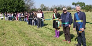 Una ventata d’aria “green”