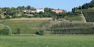 Parco delle colline: la bellezza della natura