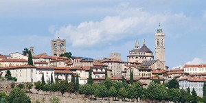 Manutenzione e nuovi alberi. Così Bergamo si fa sempre più bella