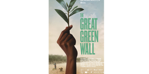 The Great Green Wall (2019)