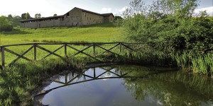 Cinture verdi e parchi regionali