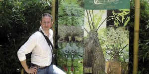 L’idea imprenditoriale ed ecologica di Bambufacile