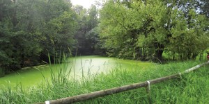 Vivere il Parco delle Colline