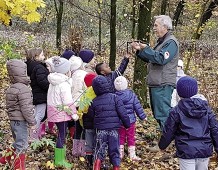 Per fare un albero ci vuole... una rete