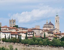 Manutenzione e nuovi alberi. Così Bergamo si fa sempre più bella