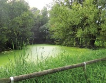 Vivere il Parco delle Colline