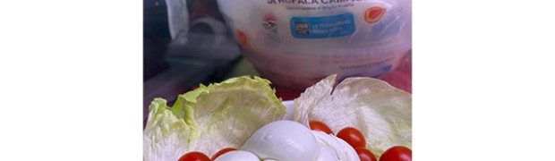 Treccia - Il G(i)usto della mozzarella