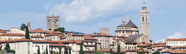 Manutenzione e nuovi alberi. Così Bergamo si fa sempre più bella