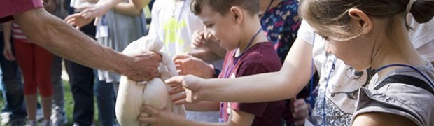 La scuola va in campagna con “Mangio locale e penso universale”