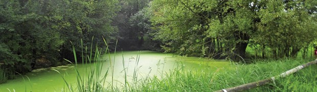 Vivere il Parco delle Colline