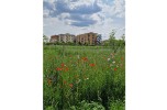 Brescia in transizione. Un Piano Aria e Clima partecipato