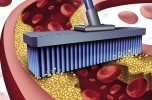 La prevenzione cardiovascolare
