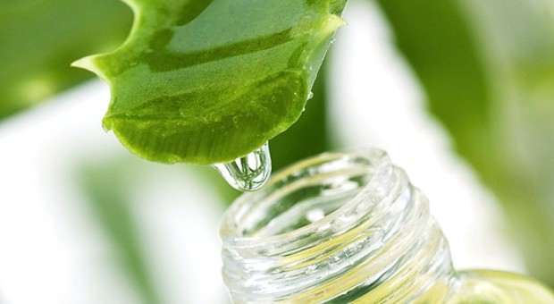 Cosmesi a base di aloe