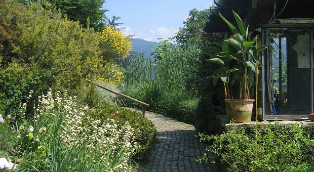 "Buon Compleanno" Orto Botanico