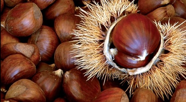 Castagne de Sansimù