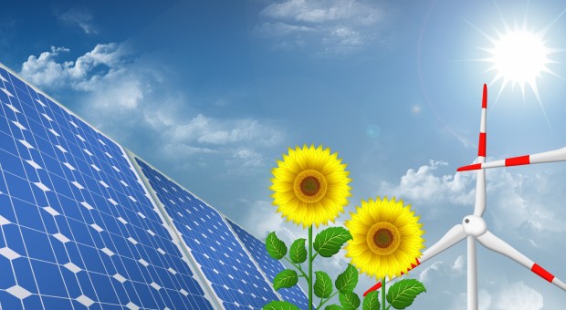 Settimana per l'energia: "Efficienza: energia per la vita delle imprese"
