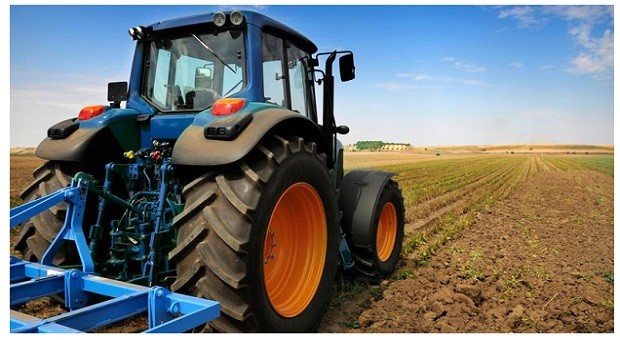 Festa del Ringraziamento Agricolo