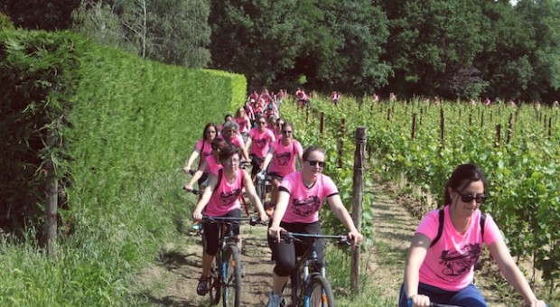 Pink Bike Franciacorta