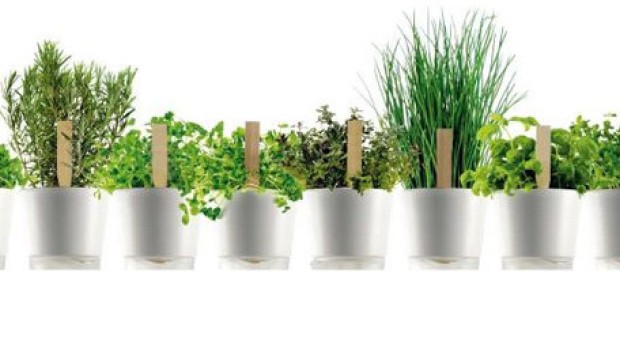 Laboratori e sollazzo sull'ortoboscogiardino