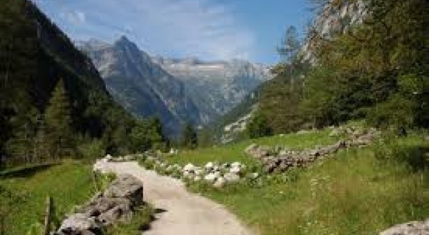 L'ABC del naturalista: alla scoperta dei parchi bresciani