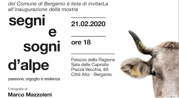 Segni e sogni d'alpe