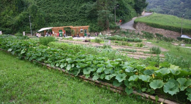 Visita guidata al Monastero di Astino e alla Valle della Biodiversità