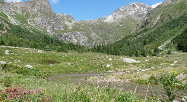 Val Cané: tra aquile e camosci
