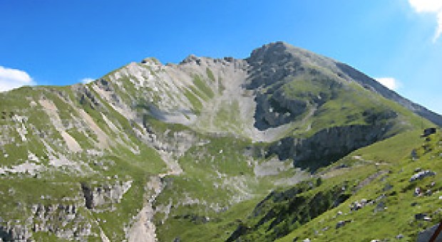 Alla scoperta della biodiversità del Monte Arera