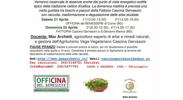 Tra erbe e dintorni 