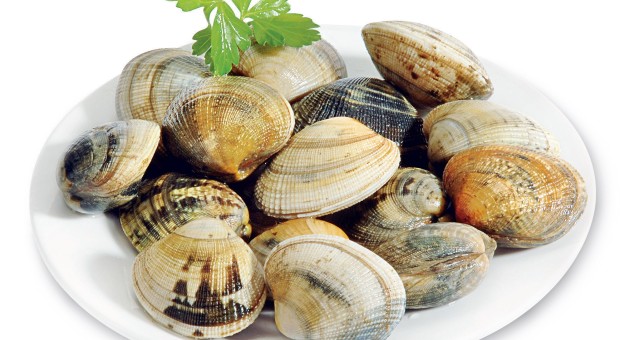 Cena con lista di pesce