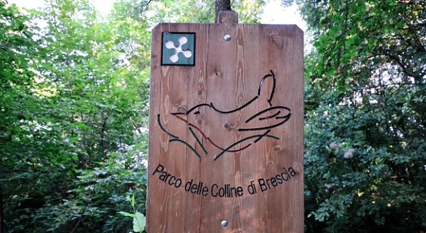 A scuola di natura. Conoscere il Parco delle Colline in classe e sul campo