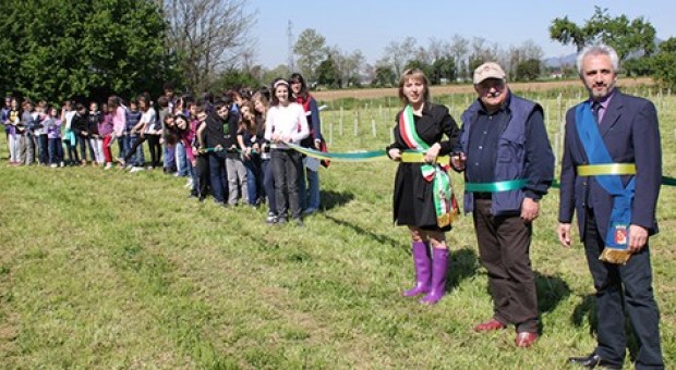 Una ventata d’aria “green”