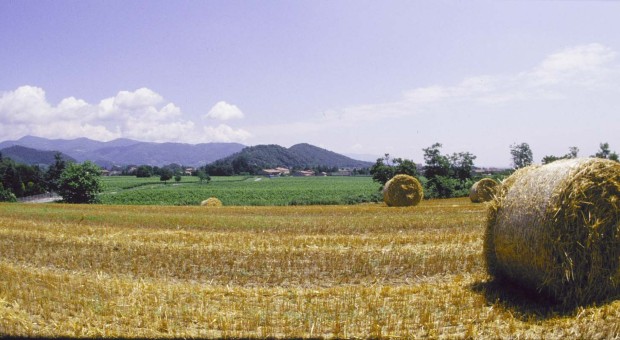 I Maestri del Paesaggio