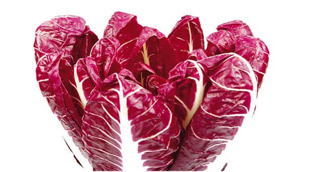 Radicchio