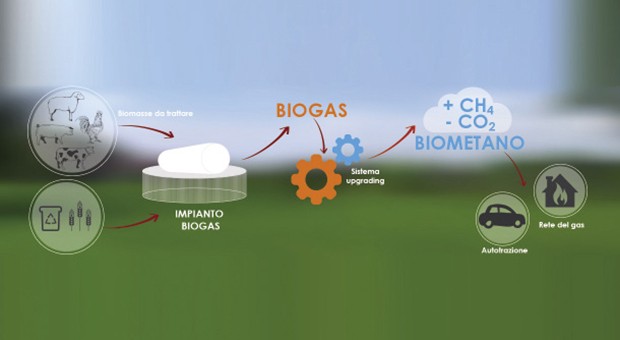 Agroenergie infografica 