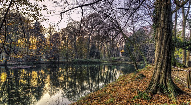 Reggia di Monza. Adotta un “pezzo” di Villa e Parco